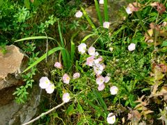 -三江森林温泉度假区