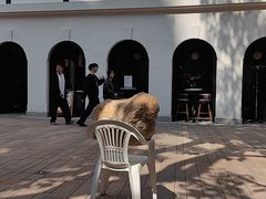 -大馆(前中区警署建築群)