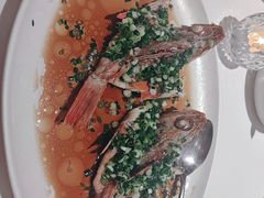 -醉辉皇上海之巅(上海中心大厦店)