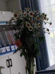 -SOR索尔祛痘·面部肌肤管理