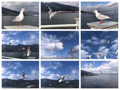 -海埂大坝