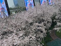 -陆家嘴空中步行连廊