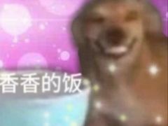 -力香园猪脚米线(金星店)