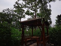 -太阳宫公园