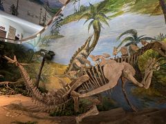 -自贡恐龙博物馆