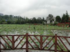 -贵阳市花溪国家城市湿地公园