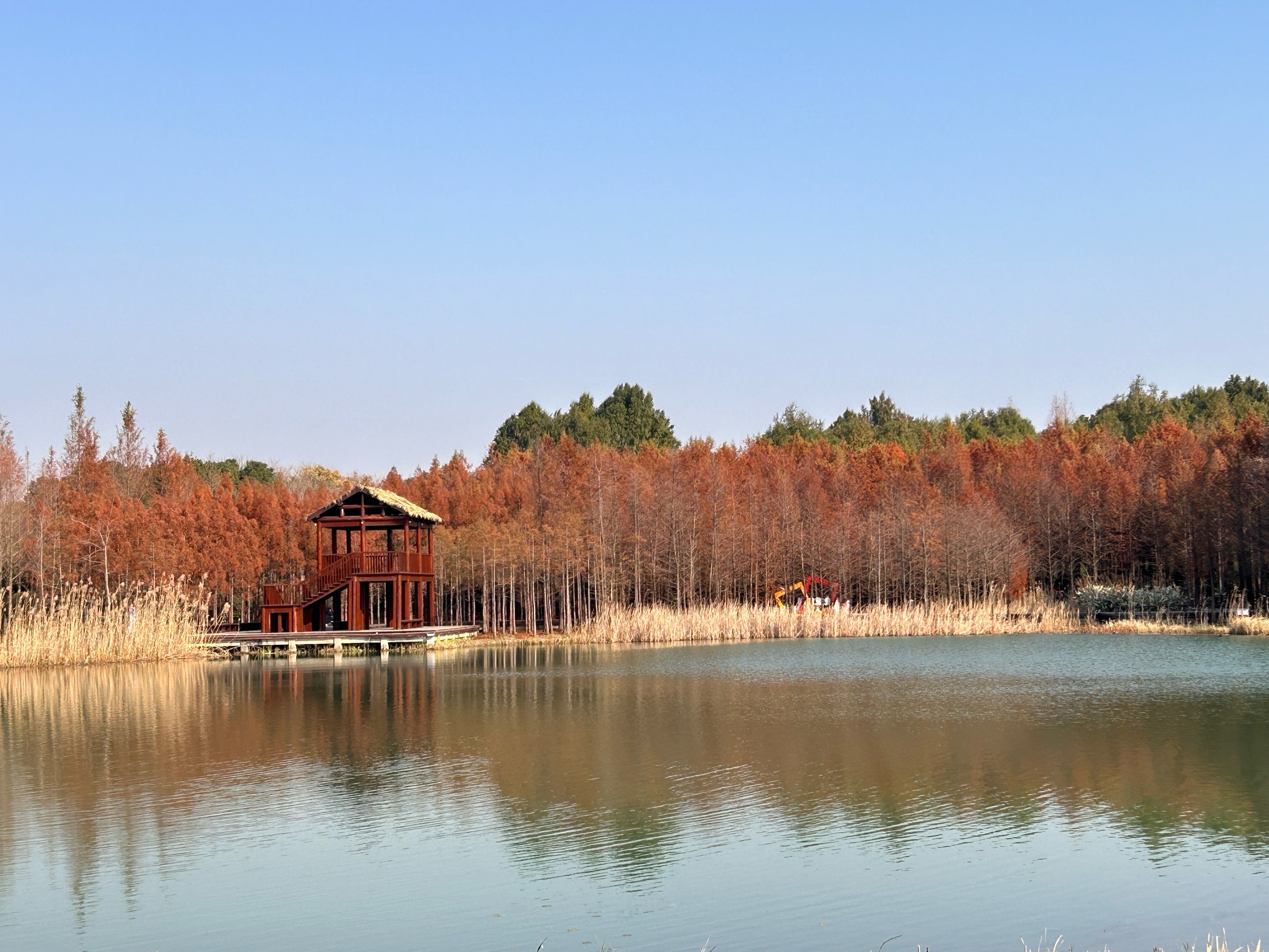 苏州虎丘湿地公园图片