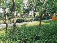 -西湖公园(鼓楼区)