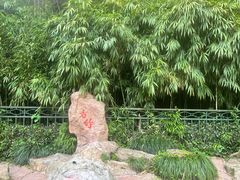 -杭州黄龙洞