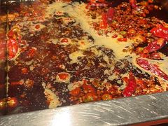 -二荆条·蜀鲜汇城市森林火锅