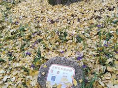 -上海方塔园