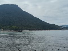 -杨梅坑