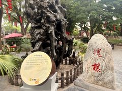 -大槐树寻根祭祖园