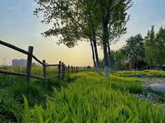 -汉长安城未央宫国家考古遗址公园