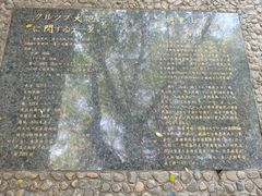 -胡里山炮台