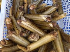 -常家活海鲜小吃(仅一家无分店)