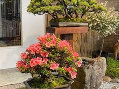 -双季花艺园艺市场(浦东店)