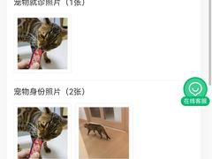 -谐和益家动物医院·免疫绝育·血液透析·宠保定点医院(高新伊藤分院)