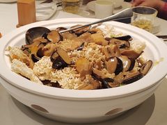 锅巴海参-飶香居(省博物馆店)