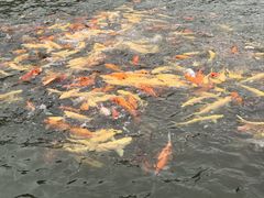 -梅州瑞山生态旅游度假村