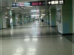 -宋家庄(地铁站)