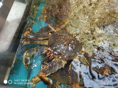 -盒马鲜生(宝地店)
