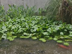 -中国湿地博物馆