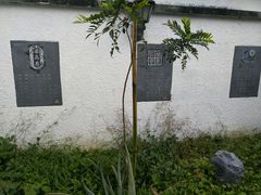 -广州神农草堂中医药博物馆