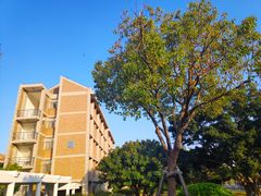 -厦门国家会计学院