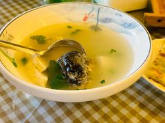 头尾豆腐汤-京北渔家傲