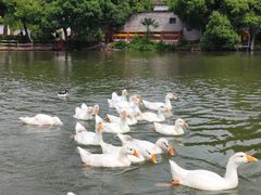 -张公山寨景区