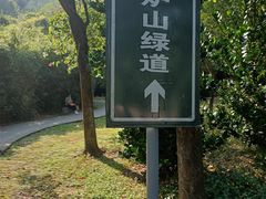 -火炉山森林公园