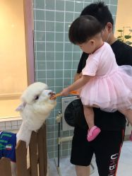 -Moni星球萌宠·小马宝莉·灵蛇·高端高阶全萌宠互动体验俱乐部(红豆国际广场店)