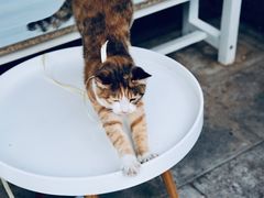 -隹木咖啡馆(宝龙广场店)