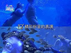 -左海海底世界
