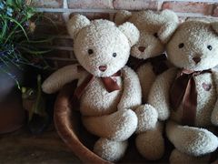 -济州岛泰迪熊博物馆