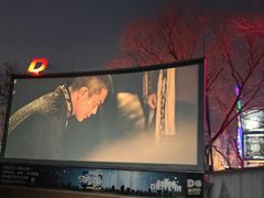 -枫花园汽车电影院(朝阳公园店)