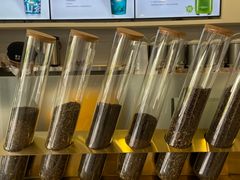 -雾与山茶(大禹城店)