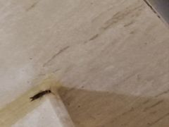 -青海宾馆