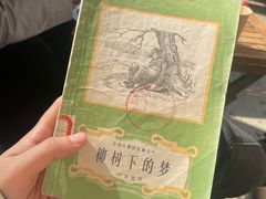 -查令84号咖啡馆(金大地1912东西街店)