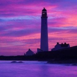 -薇兰专业脱毛连锁机构