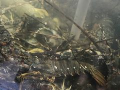 -盒马鲜生(杭州运河上街店)