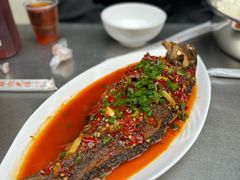 -胖哥家藏菜(护国路店)