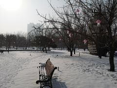 -长春公园(普阳街道)