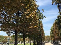 -Le Comptoir de la Gastronomie