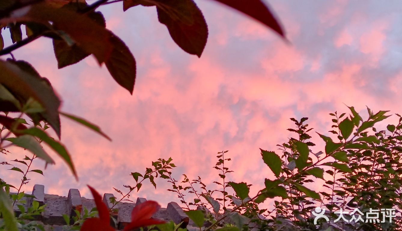 老妈今天早上拍的美丽的朝霞[愉快][强]