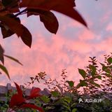 老妈今天早上拍的美丽的朝霞[愉快][强]