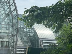 -南山植物园