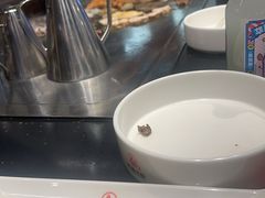 -渔乐之昕·铁板烧自助餐(虹悦城店)