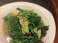 -東大方(安吉灵芝店)
